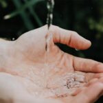 Profesjonalne systemy zarządzania